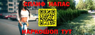 прущие грибы Сланцы