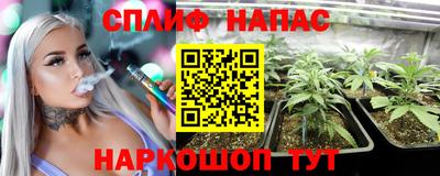 прущие грибы Сланцы