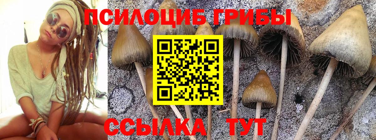 Псилоцибиновые грибы ЛСД Новый Уренгой