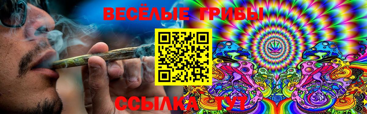 Псилоцибиновые грибы Magic Shrooms  Вход с VPN  Новый Уренгой 